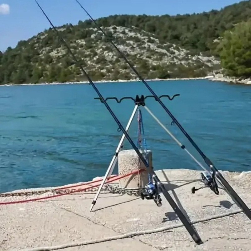 1 SET Fishing Telescopic Posit - đánh giá và giá Fishing Rod Casting
