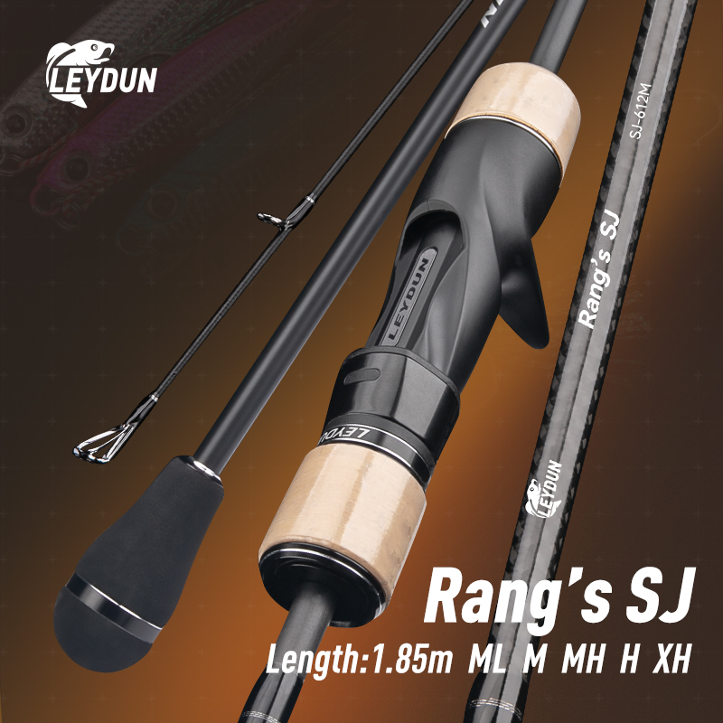 LEYDUN Rang’s SJ Slow Jigging  - đánh giá và giá Fishing Rod Surf